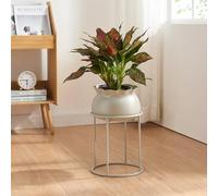 [en.casa] Soporte para Plantas Flores con 1 Macetero Extraíble Diseño Redondo Moderno Organizador de Macetas para Hogar y Oficina Portamacetas Metal 38xØ24 cm - Gris Claro