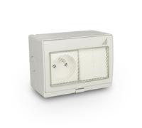 Enchufe individual + conector doble empotrado GPW2N IP55 55.29