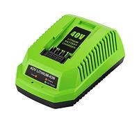 ENERGUP Cargador para Greenworks G40B2 G40B4 (40 V, 40 V)