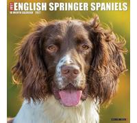 English Springer Spaniels 2027 Wall