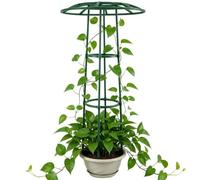 Enrejado De Jardín para Plantas Trepadoras Estructura Vegetal Tipo Paraguas | Tutor de Plantas Trepadoras Para Exterior, Jardín, Rosal, Clemátide, Pepino, Judía De Enrame y Otras Plantas