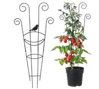 Enrejado para Plantas Exterior Estructura de Crecimiento para Plantas | Torre Vertical para Flores para Huerto Jardín Terraza Boda Interior Balcón y Macetas