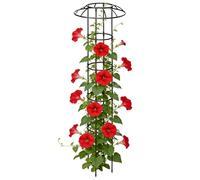 Enrejado Paraguas Para Jardin Soporte Vertical Anticorrosión Estable Para | Jaula De Soporte Para Flores De Exterior Para Rosas Clemátide Pepino Hortensias Jazmín Y Pothos