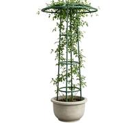 Enrejado Tipo Paraguas Soporte Resistente para Flores de Jardín | Tutor de Plantas Trepadoras Para Exterior Patio Al Aire Libre Rosas Clemátides Enredaderas Pepinos Judía Hortalizas