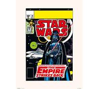Erik - Lámina Decorativa 39 Tesb The Beginning, Star Wars (30x40 cm)