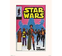 Erik - Lámina Decorativa 90 The Choice, Star Wars (30x40 cm)