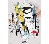 Erik - Lámina Decorativa EP. IX Artist Trooper, Star Wars (30x40 cm)