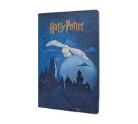 Escape to Hogwarts (Harry Potter Collection) A6 Grid Cahier