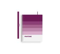 Escolofi - BLOCK ESCOL.PANTONE A4 SPEAKS 80h 5x5 FT - Pack de 5 unidades 850100900