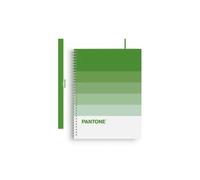 Escolofi - BLOCK ESCOL.PANTONE A4 SPEAKS 80h 5x5 NT - Pack de 5 unidades 850101100