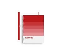 Escolofi - BLOCK ESCOL.PANTONE A4 SPEAKS 80h 5x5 PS - Pack de 5 unidades 850100800