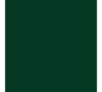 Esmalte Laca al poliuretano Proalac. 400 ML. Pinta tus muebles de cocina, radiadores, madera o metales con la máxima calidad. Valido para interior y exterior. Proa. SPRAY. Green bottle ral 6005