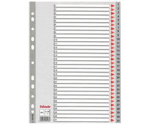 Esselte 100108 separadores de plástico grises | 31 pestañas | 11 agujeros