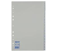 Esselte 100156 - Lengüeta de índice 225 mm, 4 mm