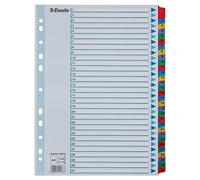 Esselte 100164 - Indice para carpetas multitaladro A4 1-31 multicolor
