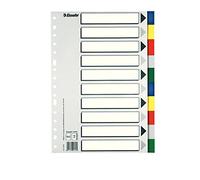 Esselte Separadores 11610 – Folio multitaladro, 10 posiciones, de plástico, colores surtidos