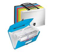 ESSELTE 624028 - Carpeta acordeón con asa VIVIDA con 13 separadores colores surtidos (pack 6 ud)