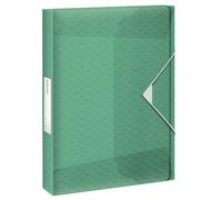 ESSELTE Carpeta de Proyectos Colour Breeze Verde A4 con Gomas