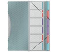 Esselte Carpeta Divisora con 6 Pestañas, A4, Organizador de Documentos Libre de Ácidos, Fundas de Plástico Transparente, Casa/Oficina, Patrón en Relieve, Gama Colour'Breeze, Multi Colour, 626255