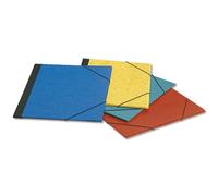 Esselte Carpetas de dibujo de colores A4 | 12 unidades