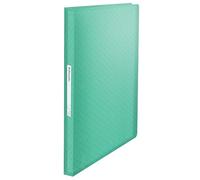 Esselte Cuaderno A4 con 80 Fundas de Plástico, Capacidad para 160 Hojas, Presentación y Almacenamiento de Documentos, Casa/Oficina, Patrón en Relieve, Gama Colour'Breeze, Verde, 626238