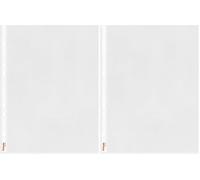 Esselte Funda de Plástico de Calidad A4, Perforada, Transparente Mate, Abertura Superior, Polipropileno de 65 Micras, Caja de 100, 23752 (Paquete de 2)