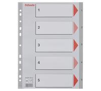 Esselte Leitz 100103 - Separador para archivadores, plateado A4