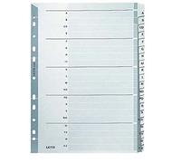 Esselte-Leitz 43280000 - Clasificador A4 de cartón (20 lengüetas, a-z), color gris