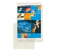 Esselte Standard Plus - Fundas transparentes para documentos (tamaño A4, PP, 0,105 mm, 100 unidades)