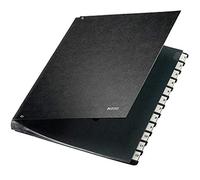 Leitz Carpeta clasificadora con 12 compartimentos y pestañas 1-12 A4