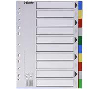 Esselte Separadores de plástico PP 11710 – A4 multitaladro, 10 pestañas, multicolor