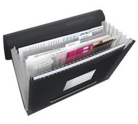 Esselte Vivida 624017 - Carpeta acordeón expansible, A4, 6 pestañas, Negro