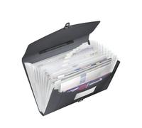 Esselte Vivida 624024 - Carpeta acordeón con asa, A4, 12 pestañas, Negro