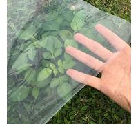 Esta lámina de Polietileno Impermeable de Alta Resistencia de 16x11 m y 100 micras de Espesor es una Cubierta de plástico Transparente para invernaderos, túneles de Cultivo y Pintura, Resist