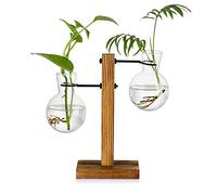 Estación De Propagación con Rejilla De Madera 2 Bombilla Florero De Aguacate Vintage Vasos De Tubo De Ensayo De Vidrio para Flores Planta De Bellota para Mesa Escritorio Decoración Interior