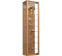 Estuche de cristal colgante | Vidrio de vitrina con vidrio de seguridad ESG | Dimensiones aprox. H. 115 x W. 33 x D. 18 cm| Vidrio colgante del gabinete de exhibición | Moderno y ahorro de espacio | G