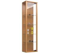 Estuche de cristal colgante | Vidrio de vitrina con vidrio de seguridad ESG | Dimensiones aprox. H. 115 x W. 33 x D. 18 cm| Vidrio colgante del gabinete de exhibición | Moderno y ahorro de espacio | G