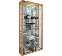 Estuche de cristal colgante | Vidrio de vitrina con vidrio de seguridad ESG | Dimensiones aprox. H. 115 xx W. 59 x D. 18 cm| Vidrio colgante del gabinete de exhibición | Moderno y ahorro de espacio |