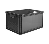 Eurobox Robusto Box keeper Robert asas de transporte caja de transporte estab...