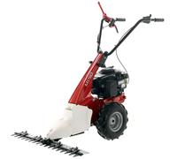 Eurosystems Minieffe M150 - Desbrozadora de gasolina - Falciatutto PRO - B&S 625 EXi