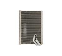 Evaporador, aire acondicionado DENSO DEV21003