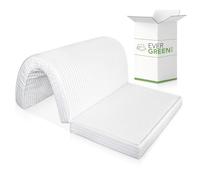 EVERGREENWEB - Colchón Clic clac 120x190 cm h 10 para sofá Cama, Plegable, Pliegue en el Asiento, Funda ortopédica de Poliuretano, Blanco, hipoalergénico, Cordones de fijación Bed Sofa