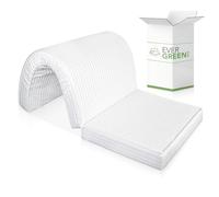 EVERGREENWEB - Colchón Clic clac Individual 80x190 cm h 10 para sofá Cama, Plegable, Pliegue en el Asiento, Funda ortopédica de Poliuretano, Blanco, hipoalergénico, Cordones de fijación Bed Sofa