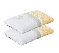 EvergreenWeb - Pack 2 Almohadas viscoelásticas 70 cm, Tejido Aloe Vera. Doble Funda con Cremallera, adaptabilidad al Cuello, desenfundable, Altura 12 cm, Cojines con Funda Extraíble y Lavable