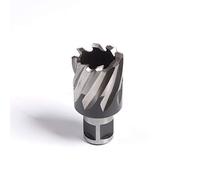 Evolution Power Tools Cortadora anular de 31 x 25 mm (31S) de Evolution: corta más rápido y dura más tiempo. Compatible con prácticamente todos los taladros magnéticos