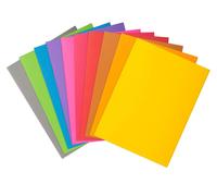 Exacompta, 10 unidades de 30 fundas tipo "rock" 80 22x31 cm, colores variados, referencia 807001E