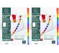 Exacompta - 1113E - Separadores en cartulina blanca 160g/m2 FSC® con 12 pestañas impresas mensualmente de enero a diciembre a color - Ficha imprimible - Formato a archivo A4 (Paquete de 2)