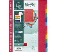 EXACOMPTA 1412E-Separador cartulina simil prespan, 12 separadores DIN A4, multitaladro, colores vivos