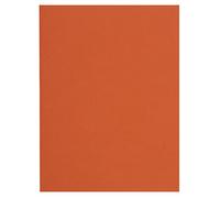 Exacompta - 160007E - Pack de 100 subcarpetas FLASH rígidas 220 g/m2 en colores vivos - 100% reciclado y certificado Blue Angel - dimensiones 24x32 cm para formato A4 - color naranja