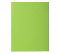 Exacompta 210013E - Lote de 100 Subcarpetas Rock"S 220, Color Verde Claro